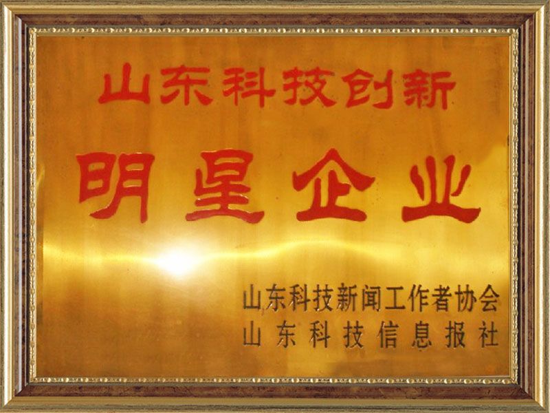 Zhucheng Jinlong Machinery Manufacturing Co., Ltd.